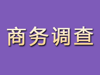 通川商务调查